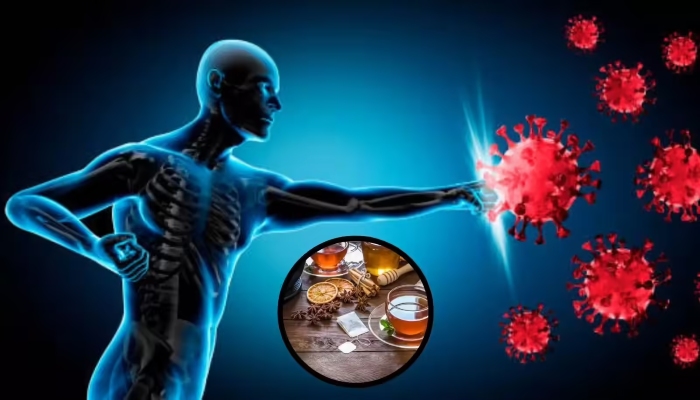 शिशिर ऋतु में इन आयुर्वेदिक नुस्खों का इस्तेमाल कर बढ़ाएं इम्युनिटी, फिट रहेगा शरीर