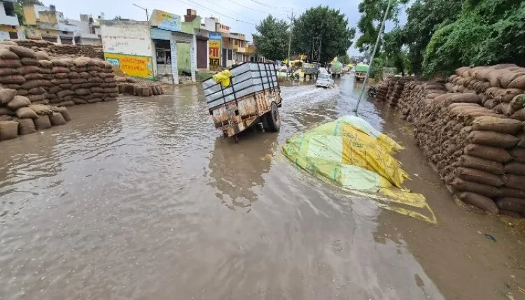 कैंथल में सरकारी प्लानः मंडी में सड़ रहा paddy, नुकसान उठाए किसान