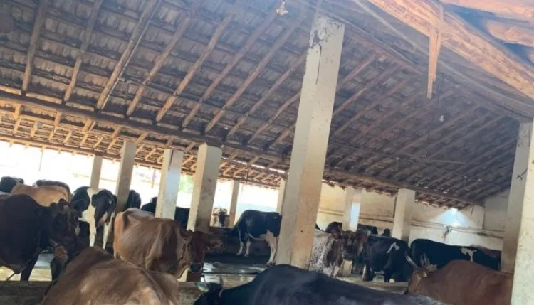 कारोबारियों को बिना बताए कम कर दिए दूध के दाम, समितियों के खिलाफ Tiruchi में प्रदर्शन की तैयारी