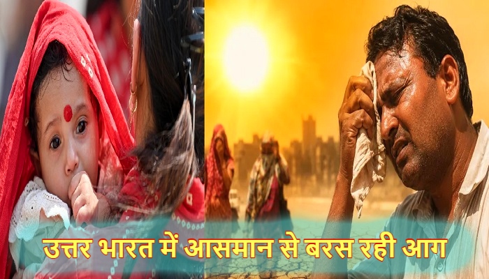 Weather Update:  प्रचंड गर्मी की चपेट में उत्तर भारत, आसमान से बरस रही आग, मौसम विभाग ने जारी किया ऑरेंज अलर्ट