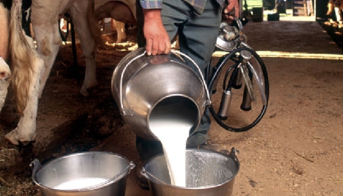 Milk Production In India : पंजाब में दूध की बहार, पर कुछ राज्यों में चिंताजनक स्थिति