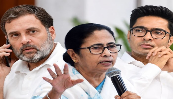टीएमसी और कांग्रेस की विलय की चर्चा तेज, अभिषेक बनर्जी ने की राहुल गांधी से मुलाकात, रखी ये शर्त