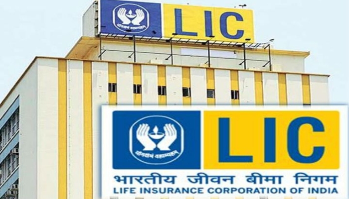 LIC Collection Increased: एलआईसी का ग्रुप प्रीमियम कलेक्शन 13.8 प्रतिशत बढ़ा