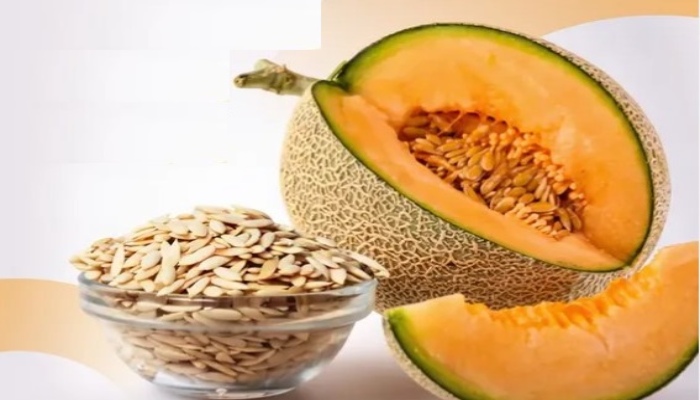 छोटे बीज, बड़े फायदे: ‘खरबूजे के बीज’ से बढ़ाएं Immunity और रखें Blood Pressure Control