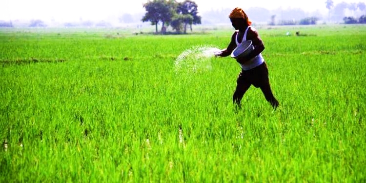 फर्टिलाइजर की कालाबाजारी पर सरकार की बड़ी कार्रवाई, 4 हजार से अधिक लाइसेंस रद्द