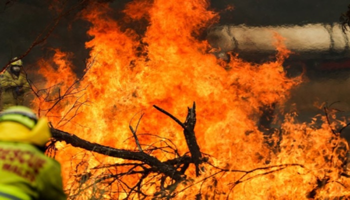 California ‘Sandy Fire’ : कैलिफोर्निया  के वेंचुरा काउंटी में भड़की ‘सैंडी फायर’, 17 हजार से ज्यादा लोगों को घर छोड़ने का आदेश
