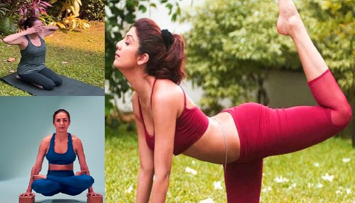 Yoga Day 2025: मलाइका से लेकर शिल्पा तक... योग से बॉलीवुड की ये हसीनाएं खुद को रखती हैं फिट, दिए खास टिप्स