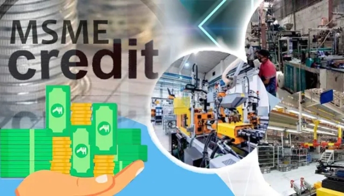 MSME-Credit Gurantee-Report