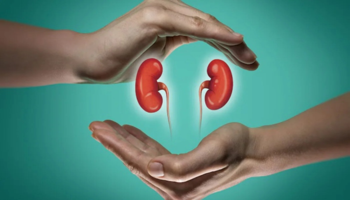 World Kidney Day 2026 Kidney Disease-Health Tips