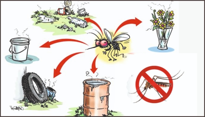 Monsoon-related illness-Dengue prevention measures