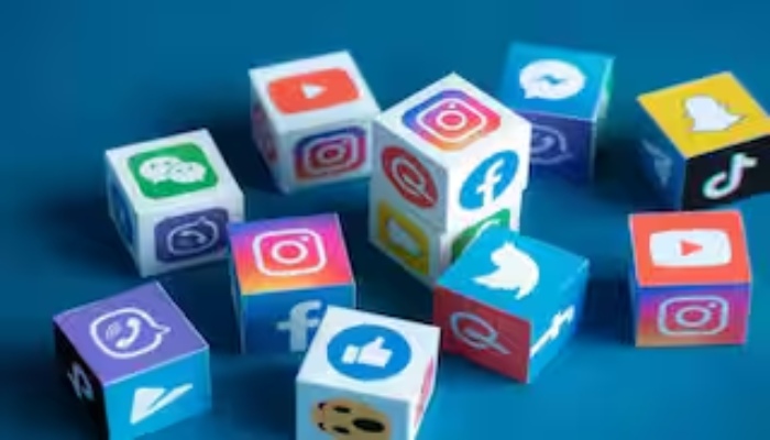 Digital Safety Laws-Social Media Regulation
