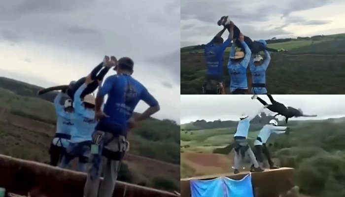 brazil-bungee-jump