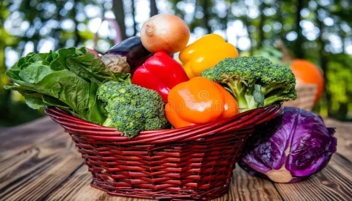 Food Basket-Indian Farmer