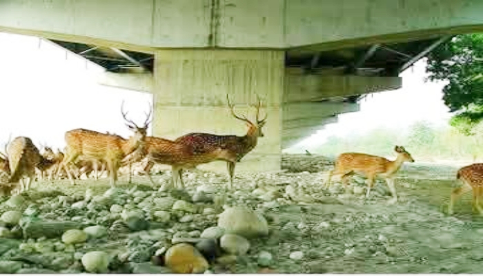 Greenfield Expressway-Delhi-Dehradun Economic Corridor