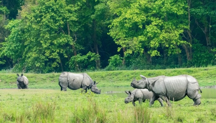 International Biodiversity Day-Assam-Kaziranga National Park