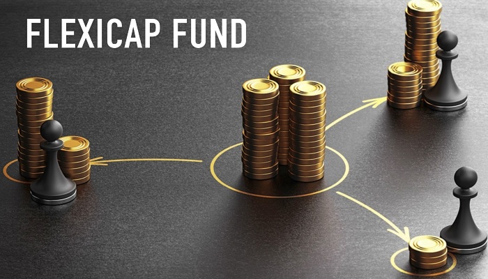 Mutual Fund-Flexicap Fund