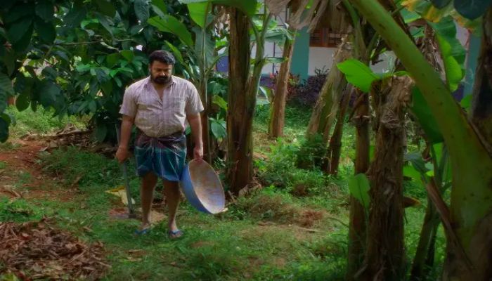 Drsihyam 3 Review