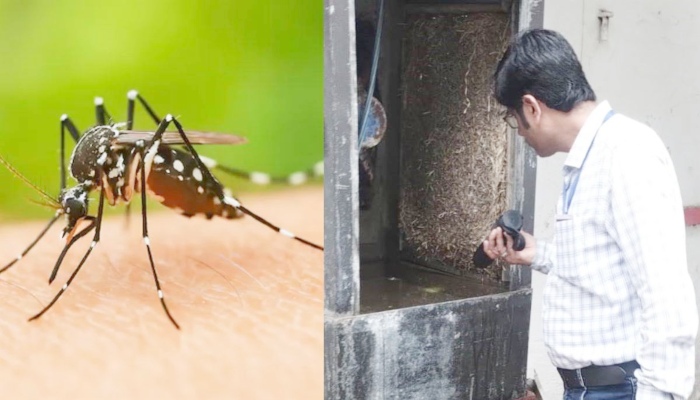 Dengue Malaria infection-Fever treatment-Timely testing