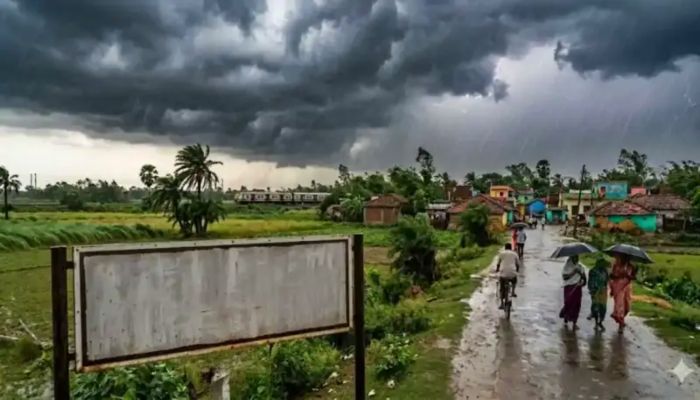 Heavy Rains 