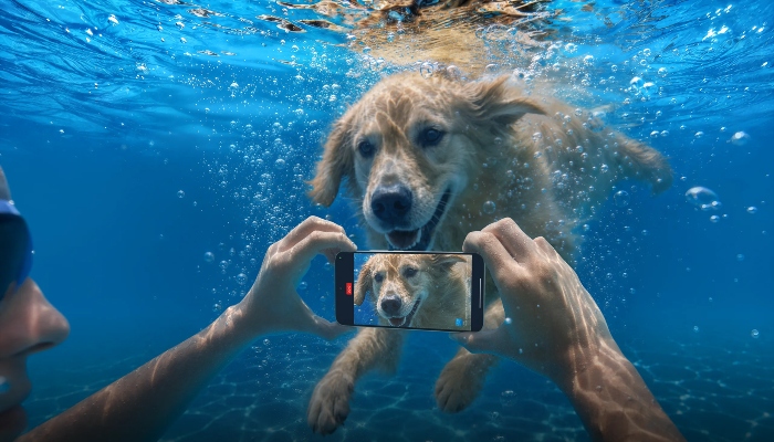 Redmi Note 17 Pro Max
