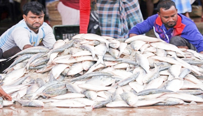 ‘नीली क्रांति’ का कमाल: भारत में मछली उत्पादन 106% उछला, 197.75 लाख टन का ऐतिहासिक रिकॉर्ड, बजट में 2761 करोड़ का बूस्ट