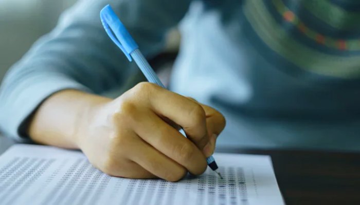 HSBTE Results 2026:  हरियाणा डिप्लोमा दिसंबर सेशन का परिणाम जारी, रोल नंबर से ऐसे चेक करें नतीजे