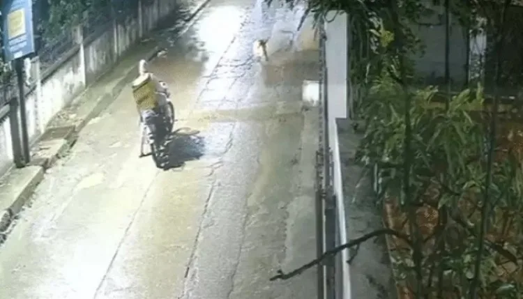 Indore: रिहायशी इलाके में घुसे तेंदुए ने डिलीवरी बाॅय पर किया हमला, CCTV में कैद हुई घटना, इलाके में दहशत